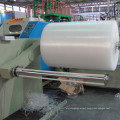 Double Layer Air Bubble Film Making Machine (FTPE-1200) Ce Certification